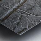 Snow in the South Metal print