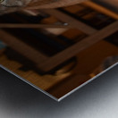 Curious Chloe Metal print