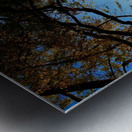 Work Perks Metal print