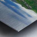 Nature's Nest Metal print