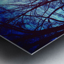 Snowy Delight Metal print