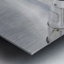 P-35 Back & Tail Metal print