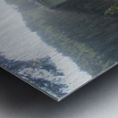 Deception Metal print