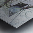 Barnyard  Metal print