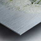 Mum Flower in a Vase Metal print