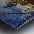 Caesar Sunset Metal print