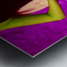 MAGENTA SWAN Metal print