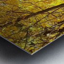 Autumn Season Metal print