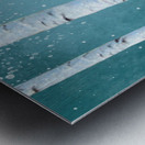 birch tree Metal print