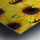 Sunflowers Field Watercolor Painting by Irina Sztukowski Metal print
