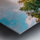 Souls From The Wild Metal print