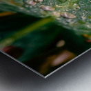 Almost Vegan Metal print