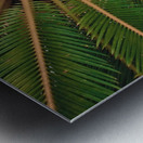 Sun Dreams Metal print