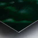 His Name Is Peter Metal print