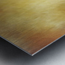 Impressions Metal print