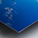 TREE AT SUNSET Metal print