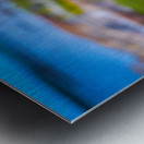 FALL RED MAPLE Metal print