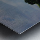 Challenger 7 Memorial Park Metal print