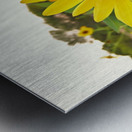 Crenshaw Park Metal print