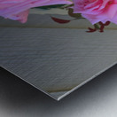 Pink Metal print