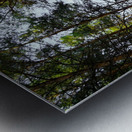 Bird Hill Manitoba  Metal print