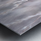 Summer breeze... Metal print