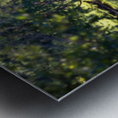 Summer in Glen Sutton Metal print