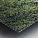 Malborough sounds Metal print