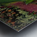 His mother prays Metal print