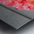 Bloom  Metal print