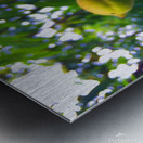 Peach  Metal print