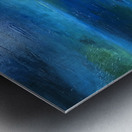 IMG_0003 Metal print