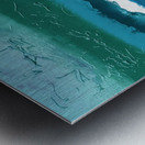 IMG_0004 Metal print