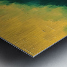 IMG_0162 copy Metal print