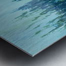 IMG_0005 Metal print