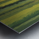 IMG_0511 Metal print