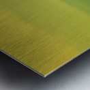 IMG_0517 Metal print