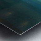 IMG_0529 Metal print