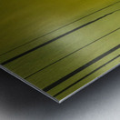 IMG_0018 Metal print