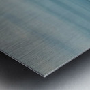 IMG_0019 Metal print