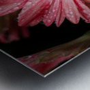 Pink Flower Metal print