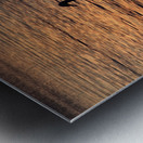 LaSalle Swans Metal print