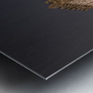 Home Castle Metal print