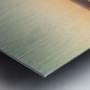 Print 04668 Metal print