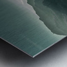 Backyard Metal print