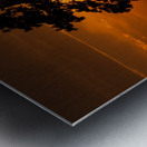 St. Georges Tree Metal print