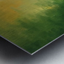 IMG_0031 Metal print