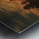 Northern Lights in Yellowstone Metal print