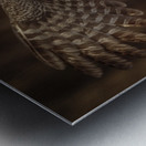 Great Grey Owl Metal print