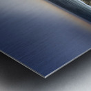 Reach for the sun Metal print